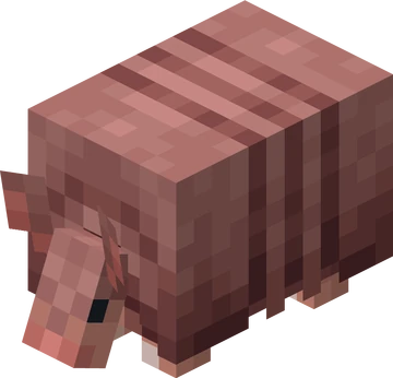 Armadillo